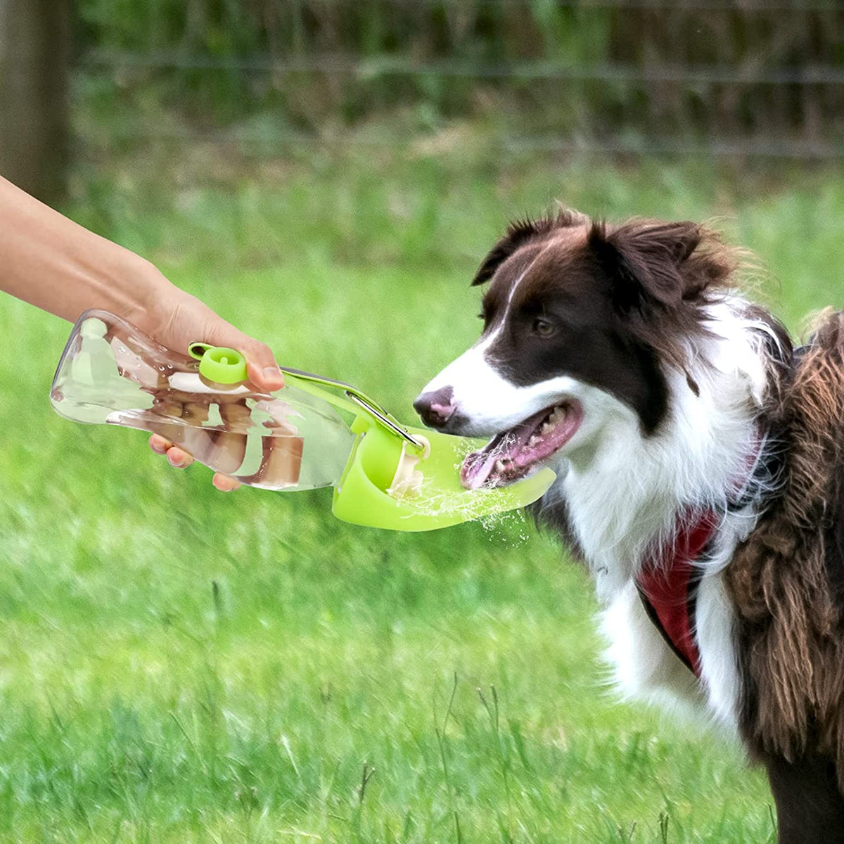 Portable Leak-Proof Pet Water Dispenser with Bowl