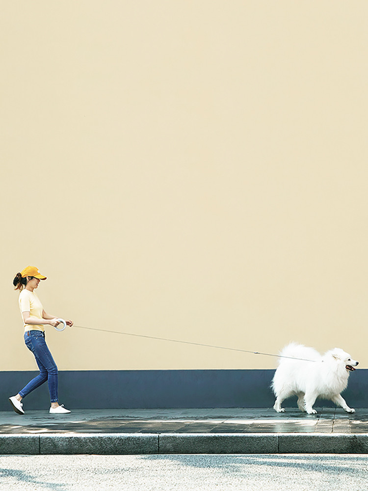 Retractable Dog Leash
